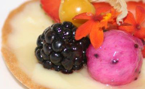 Dragon Fruit, Cape Gooseberry, and Blackberry Tart with MicroFlower™ Micro Orchid™
