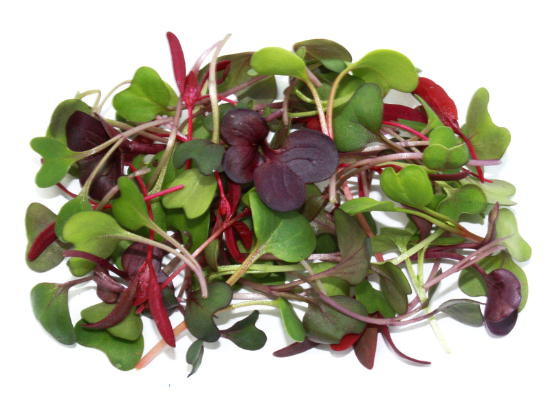 Exotic Vegetables Fresh Herbs Micro Greens Quality Exotic Food 